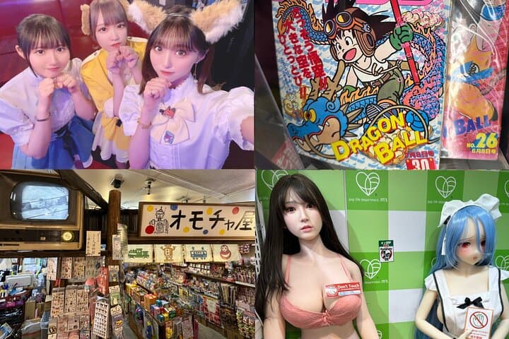 Private Akihabara Retro Tokyo Anime Game Maid Cafe Tour w/ pickup