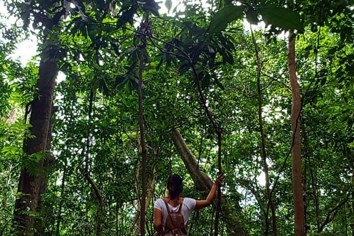 Private Bird watching and Nature trekking in Udawatta Kele Sanctuary