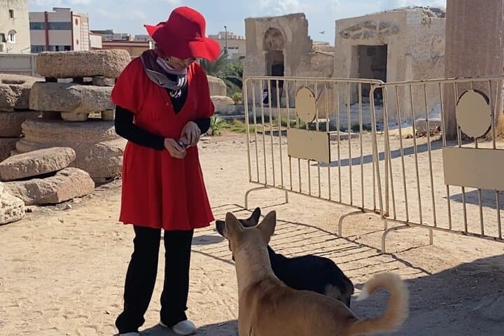 Alexandria Private tour from Cairo-10%to stray animals of Egypt