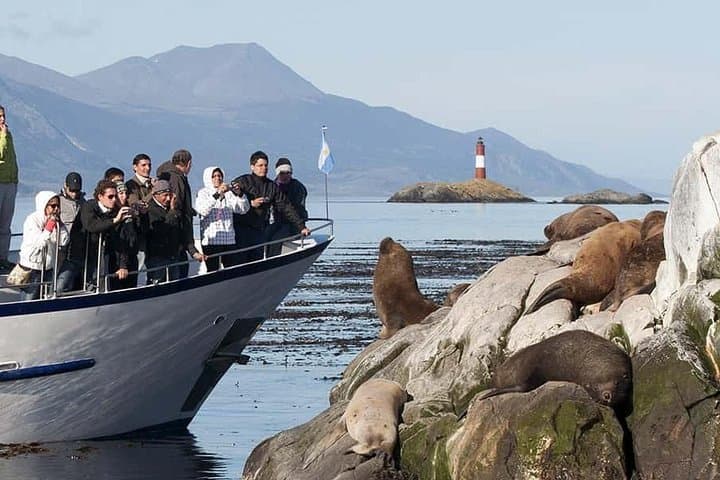 Beagle Channel and Sea Lions Island Catamaran Cruise