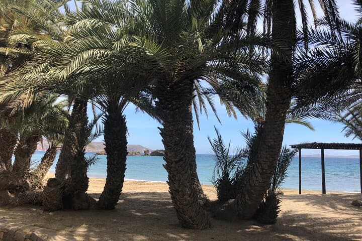 Private VIP Excursion to Vai Beach and Monastery Toplu