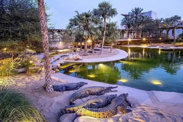 Dubai Crocodile Park Ticket with Optional Private Transfer