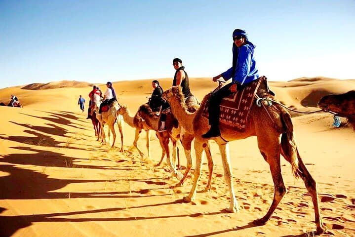 Shared Marrakech Desert Tours 
