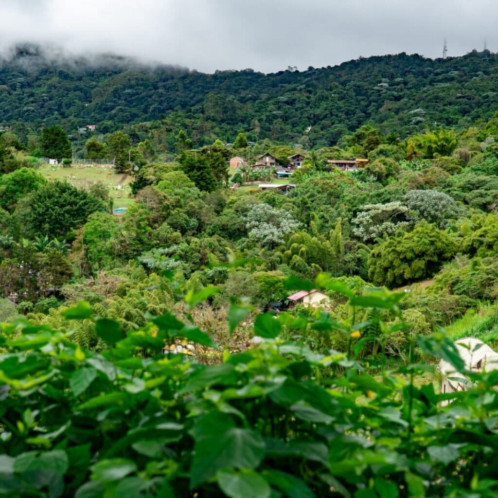 Tour Bosque de Niebla San Antonio el cerrito/Cali