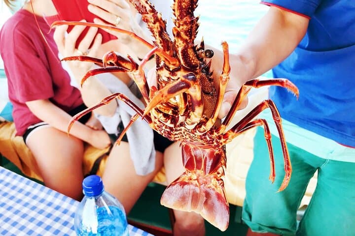 Authentic Kefalonian Fishing Cruise from Agia Pelagia Port