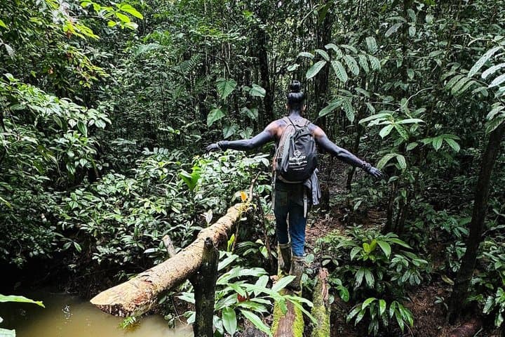 6-Day Amazon Odyssey: Private Amacayacu Ancestral Expedition