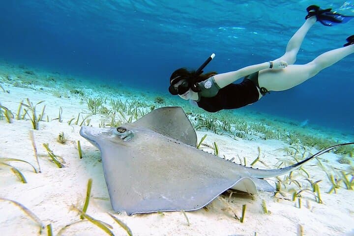 El Cielo Cozumel Snorkeling -Private Tour