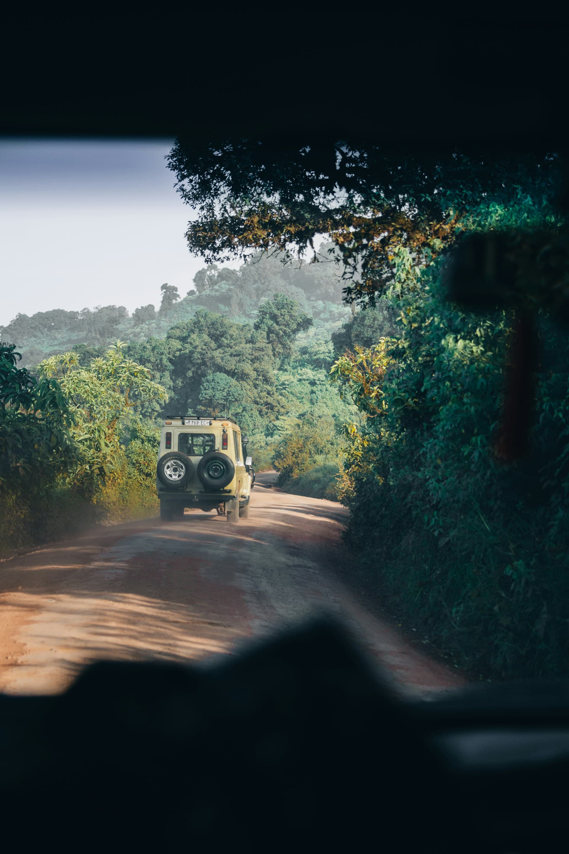 7 - Days Tented Camp Luxury - The Best of Tanzania