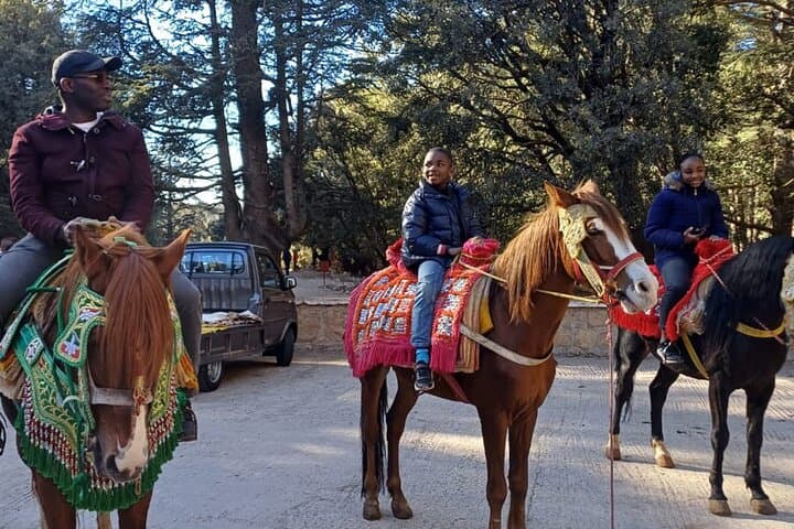 Private Day Trip from Fes to Middle Atlas