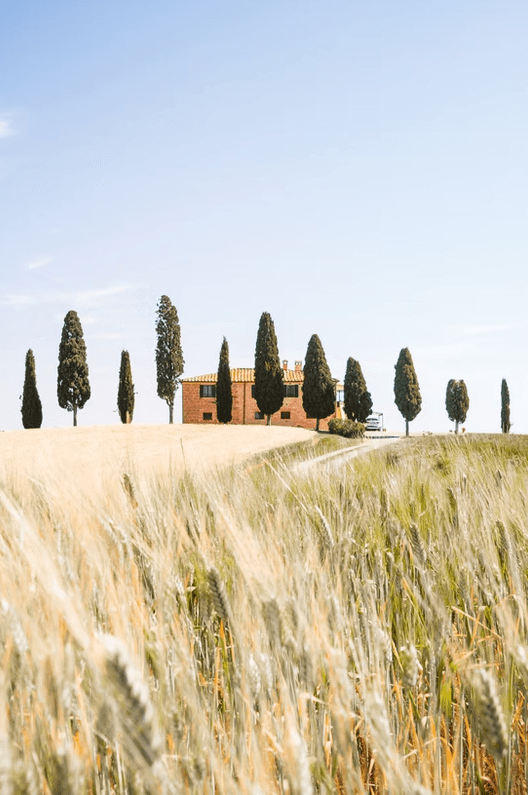 Self Guided Tuscany Bike Tour with pic nic