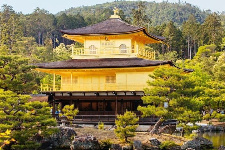 Kyoto Private Day Tour with English-Speaking Driver from Kyoto