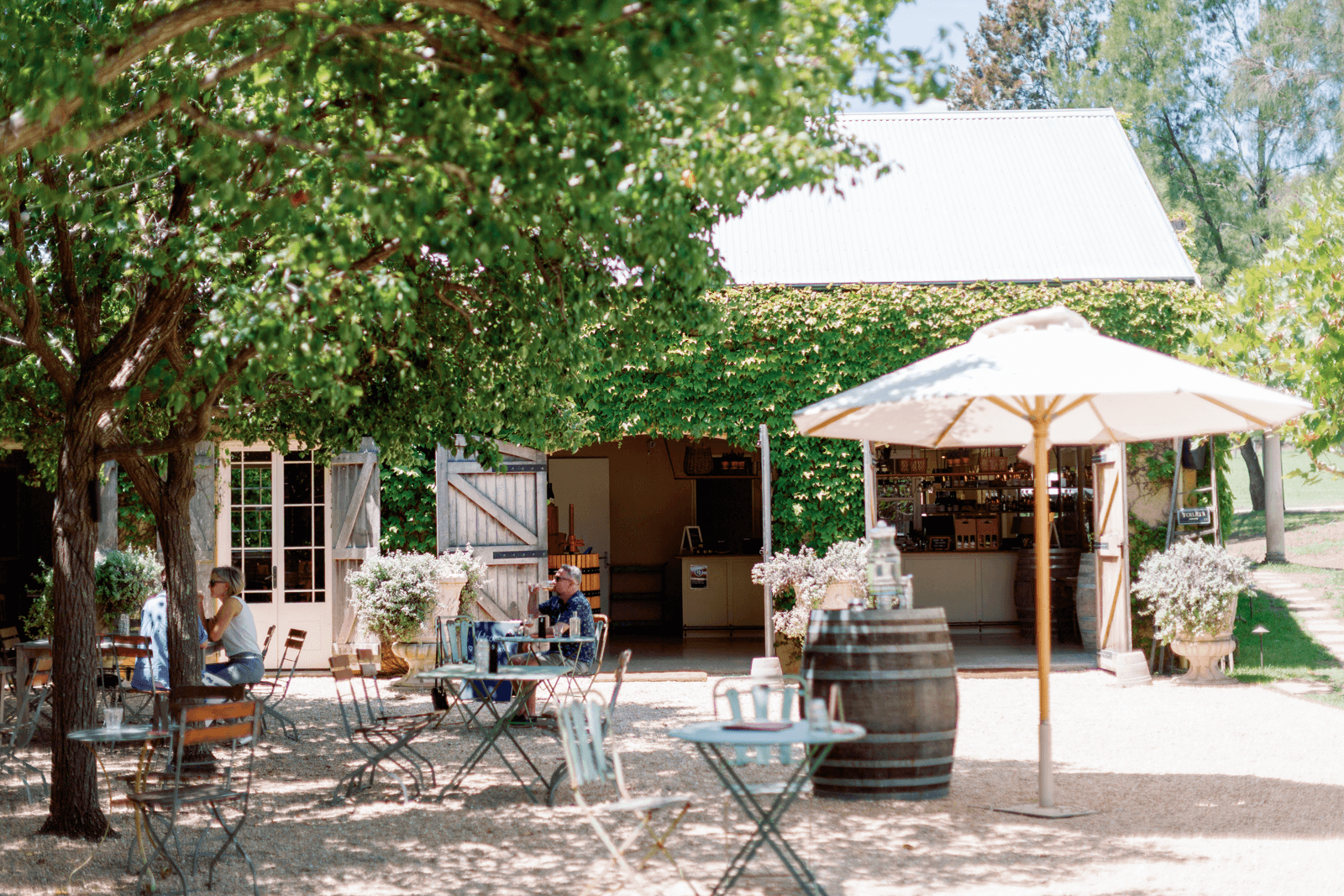 Private Hunter Valley Wine Tour from Palm Beach & Central Coast | Full Day Tour with 3 Tastings & Lunch
