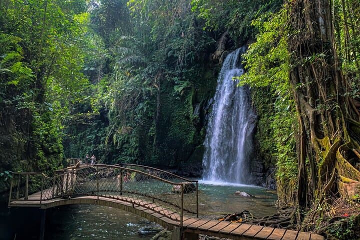 Ubud Private Tour: Monkey Forest, Falls, Temple and Rice Terraces