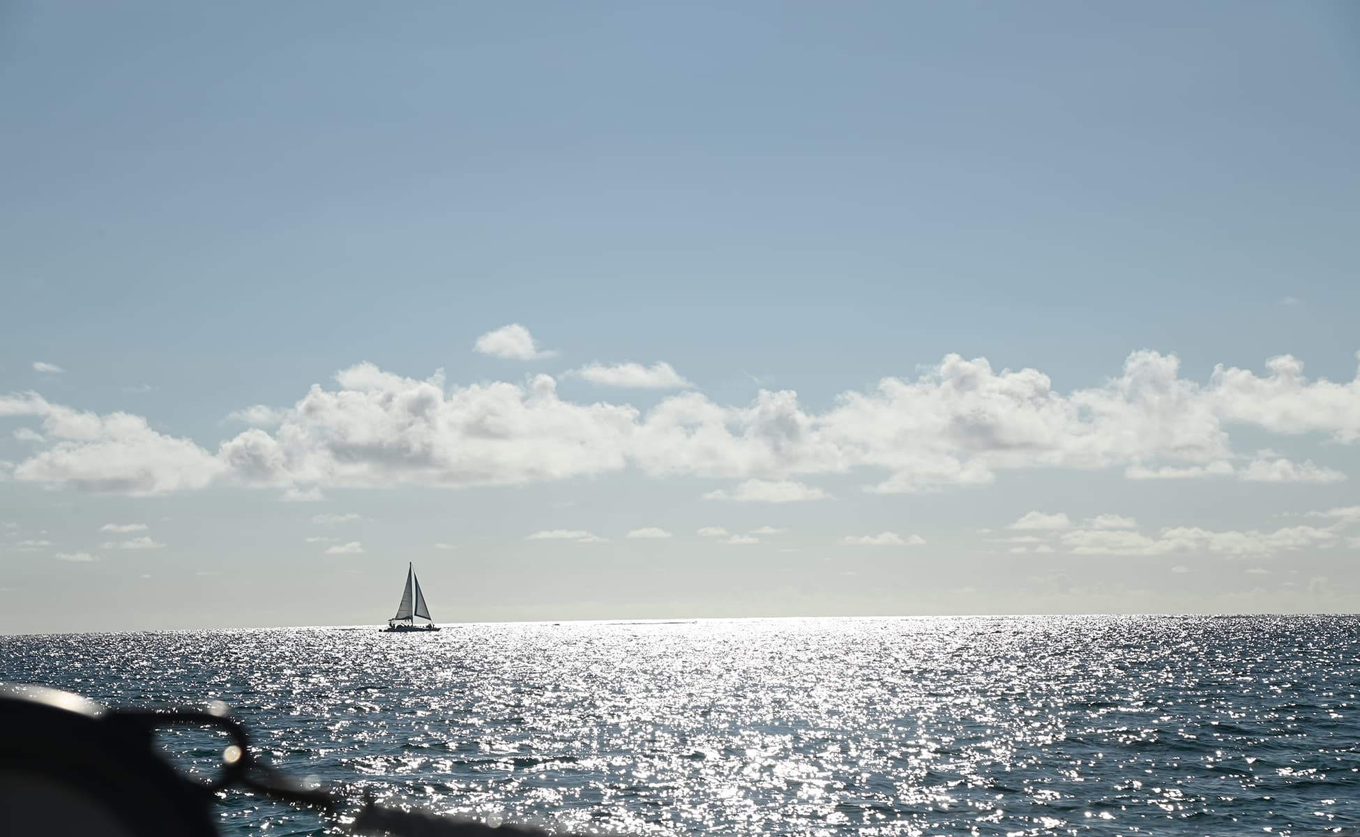 Belize Ziplining Adventure Tour with Lunch and Butterfly Farm