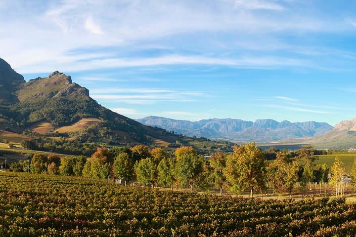 Half Day Cape Winelands