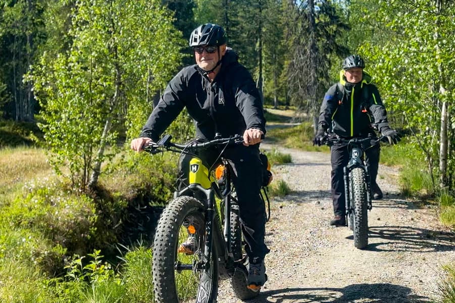 Searching for Reindeer in the wilderness by E-Fat bikes with lunch, Levi