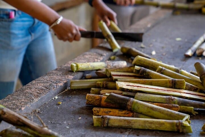 Elephant Sanctuary Small Group Tour in Phuket