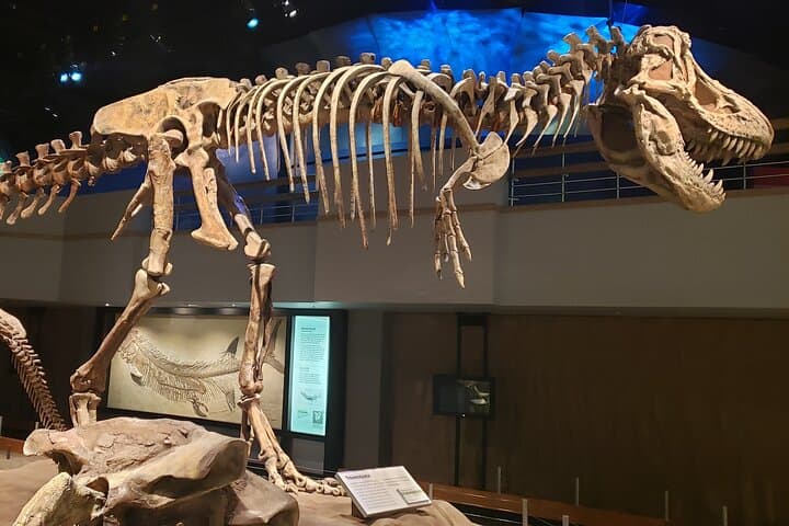 Guided Drumheller Tour: Calgary to Dinosaur Badlands & Hoodoos