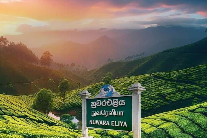 Airport Taxi Transfers from Colombo Airport to Nuwara Eliya