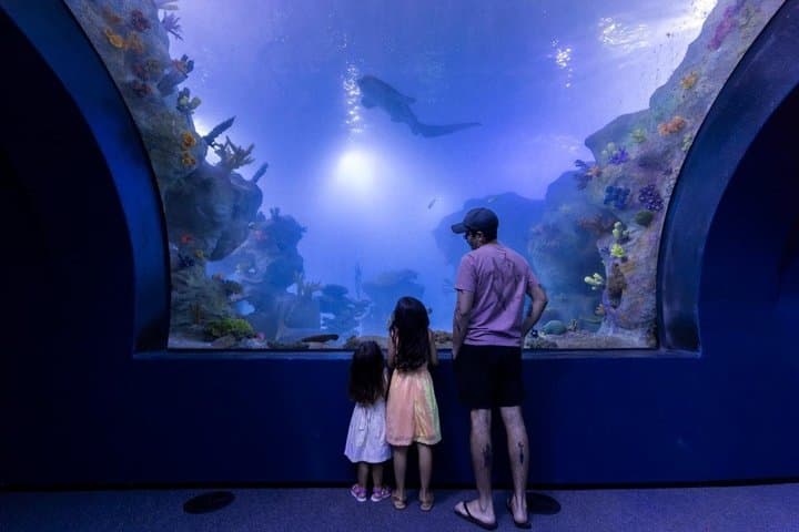 Aquafoz with private transport and admission