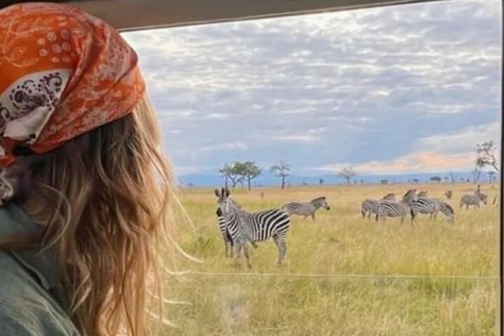 Mikumi National Park 2 Day Safari from Zanzibar or Dar es Salaam