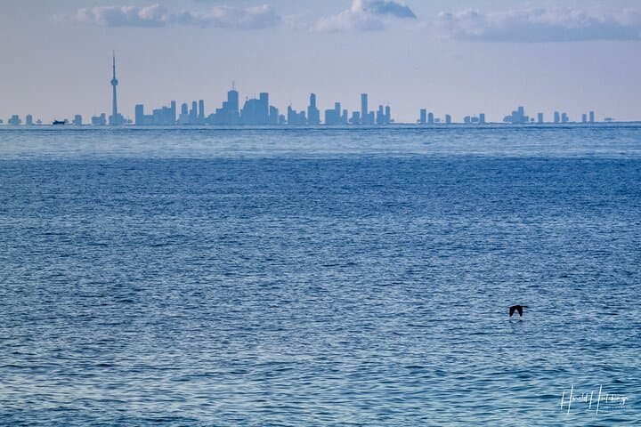 Private ONE-Way Transfer Niagara-on-the-Lake to Toronto Airport 