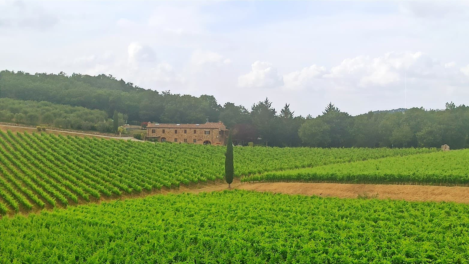  Visit Siena and the sweet hills of Chianti