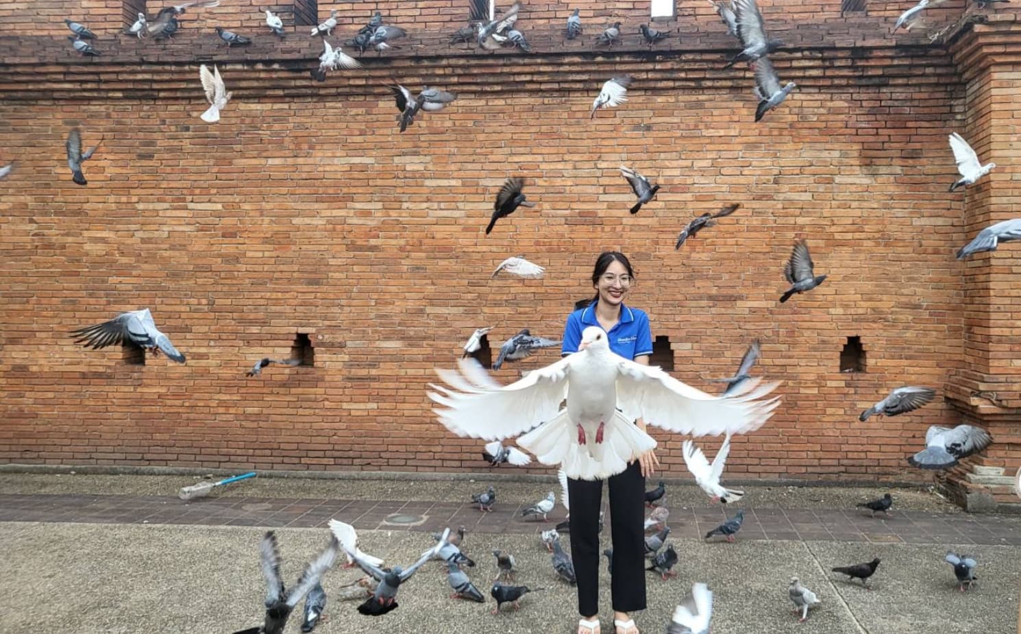 Highlights of Chiang Mai Old City by Electric Tuk Tuk