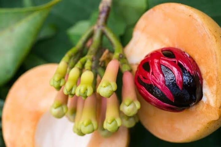 Zanzibar Stone Town, Prison Island & Spice Tour