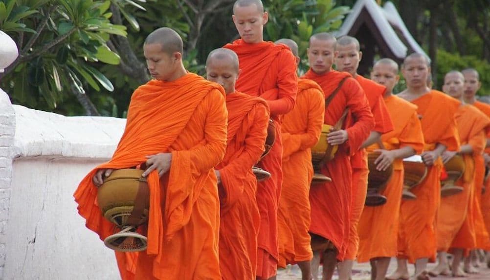 An Authentic Samui Experience 