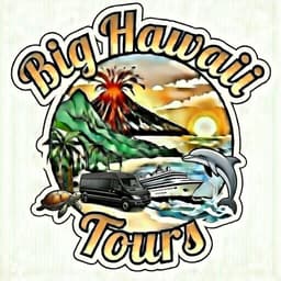 Big Hawai'i Tours
