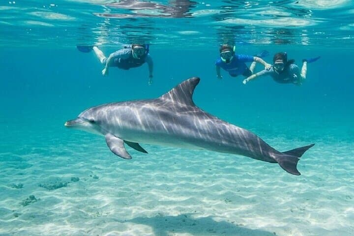Dolphin House Snorkeling Sea Trip by Boat, WaterSport in Hurghada