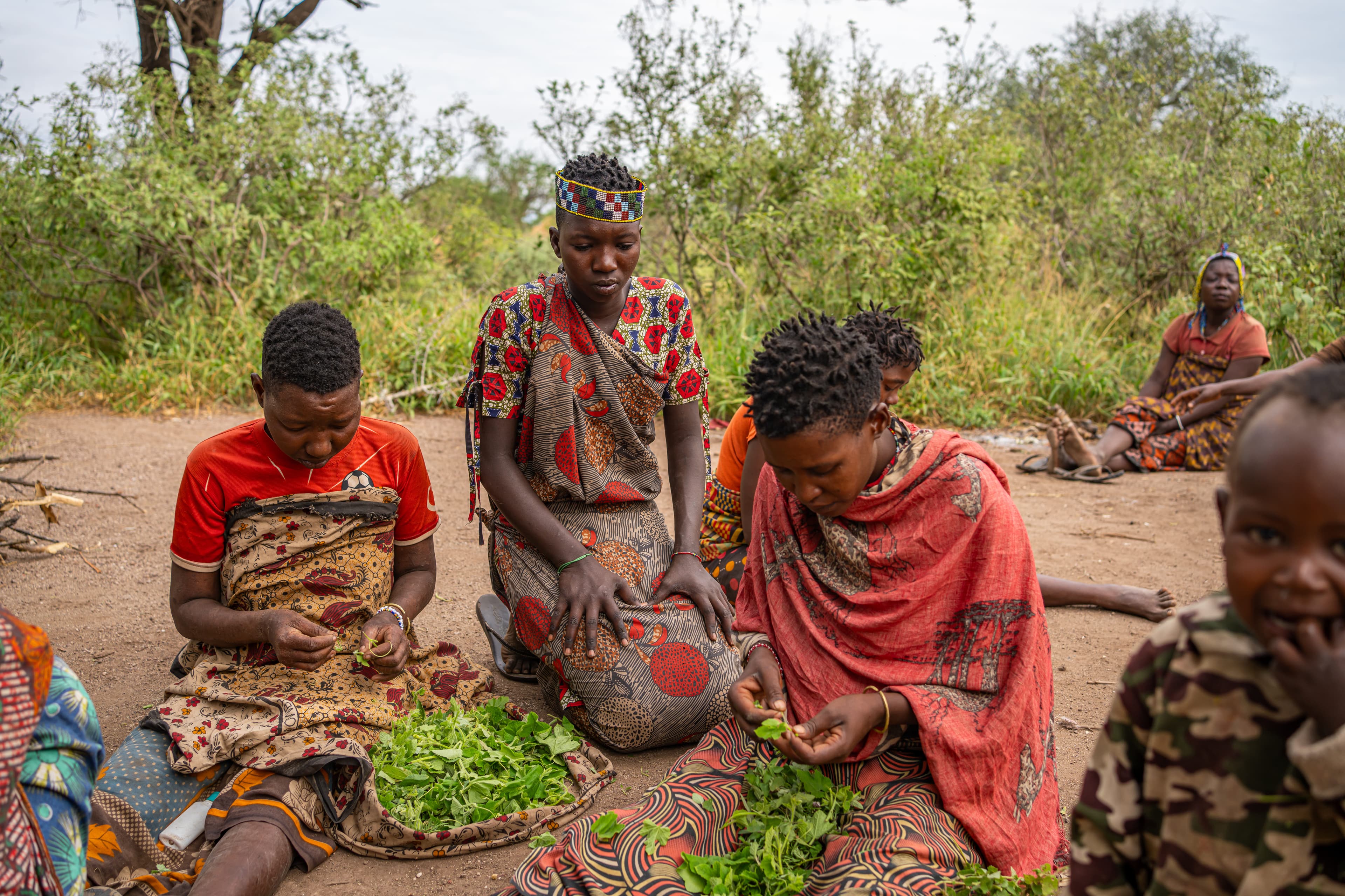 Hadza + Datoga Tribe Cultural Experience