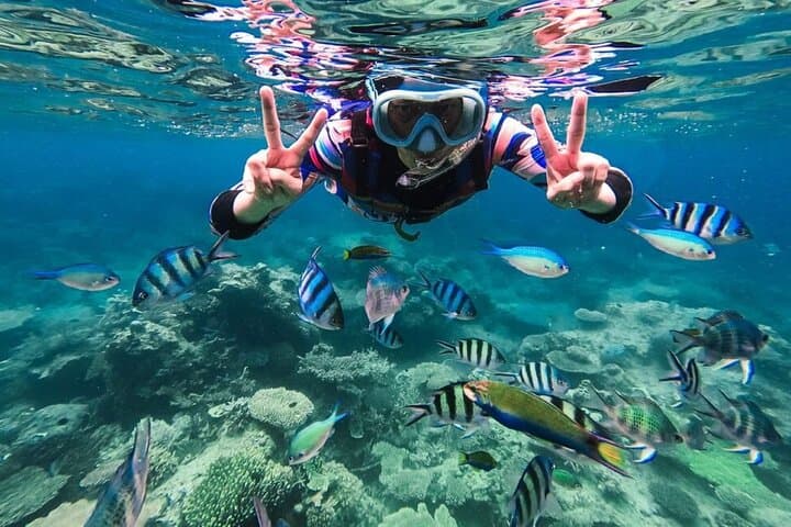 Snorkeling at Blue Lagoon Bali with Group Transfers and Lunch