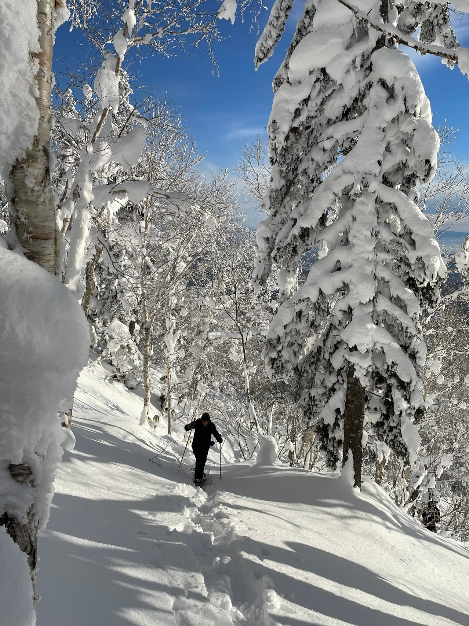 2 Day Guided Snowshoeing Overnight in Shikotsu-Toya National Park.