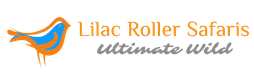 Lilac Roller Safaris
