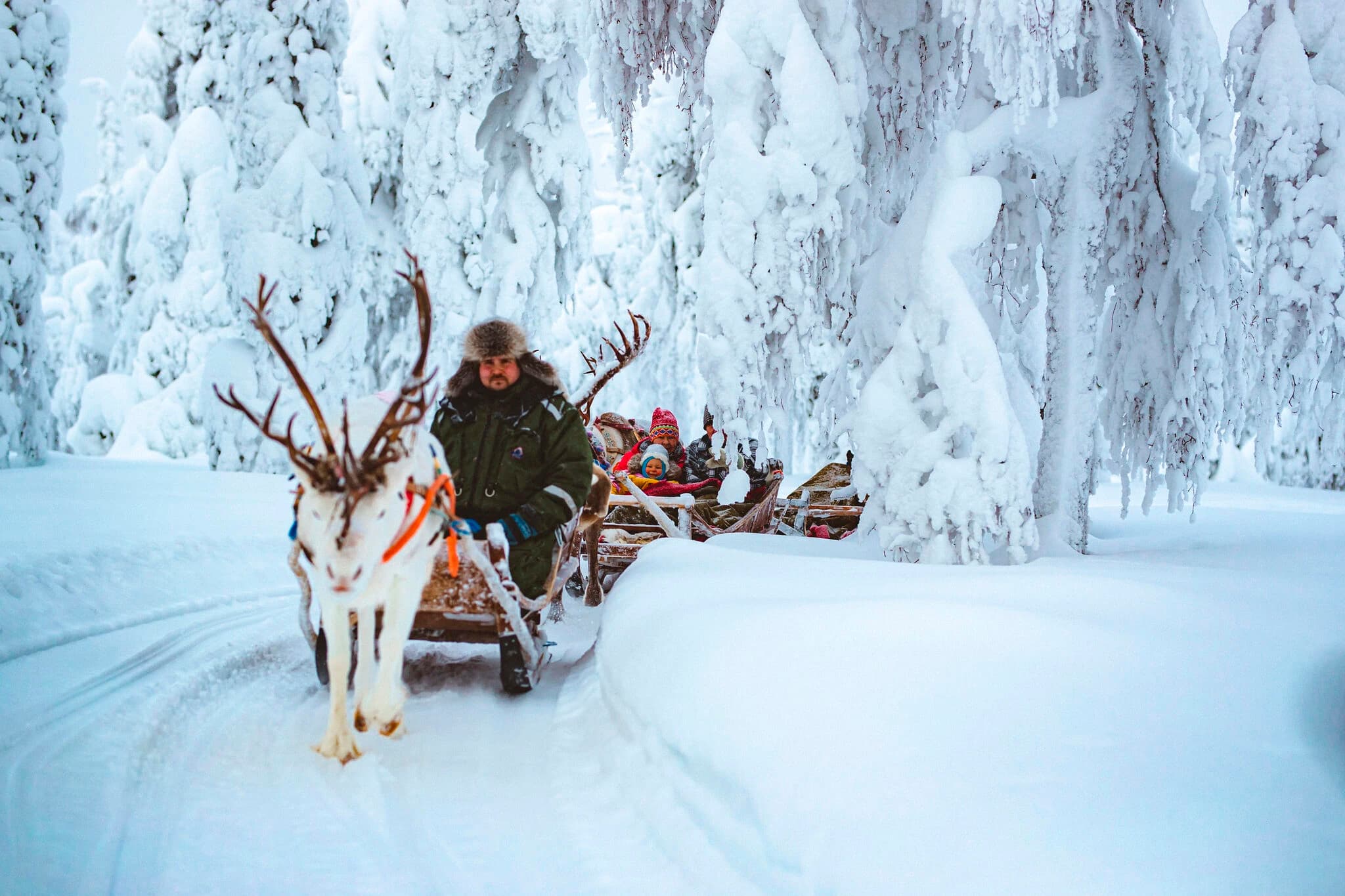 Private - Magical Reindeer Sled Ride Adventure in Levi (By request)