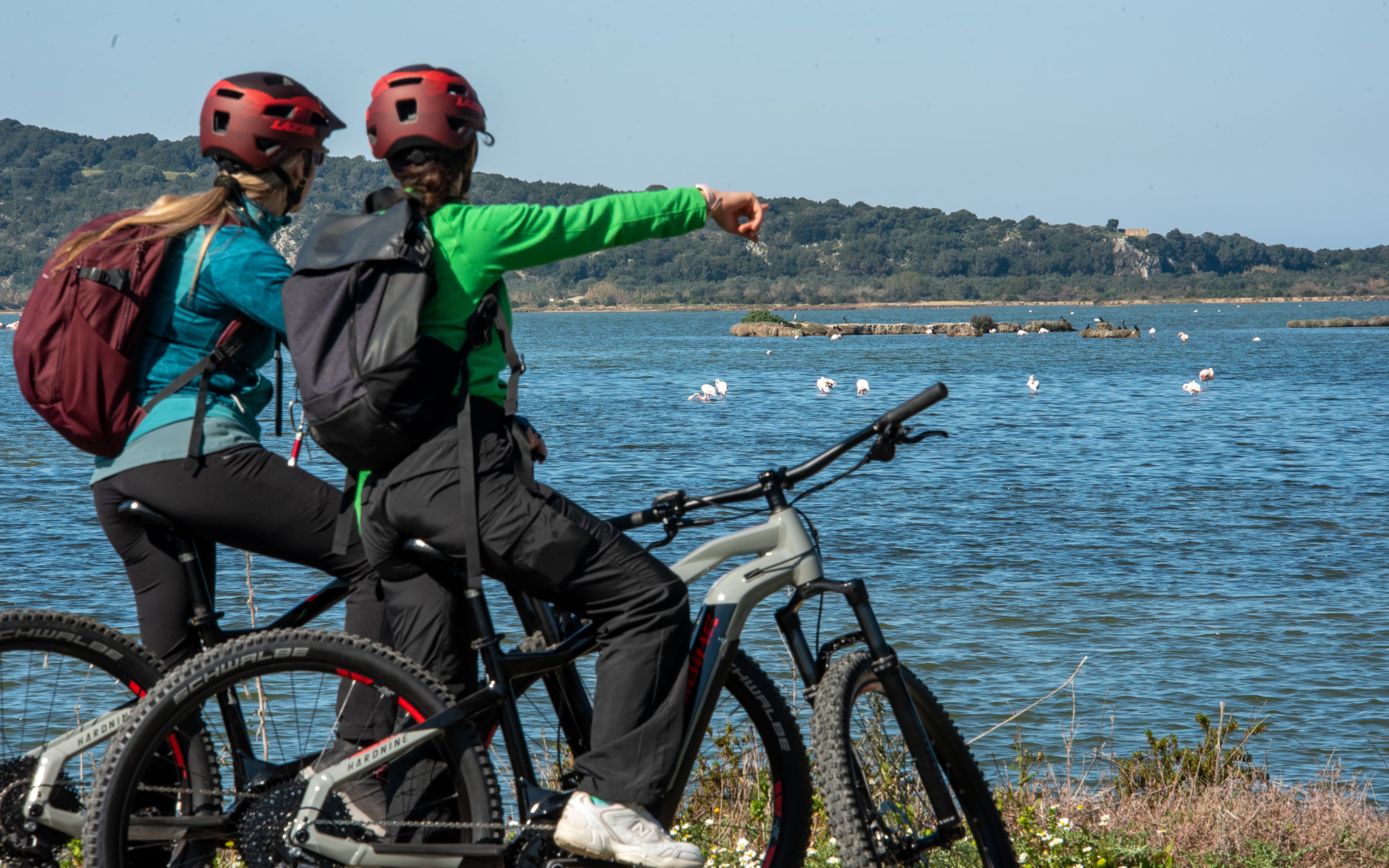 E-Bike Navarino Trail