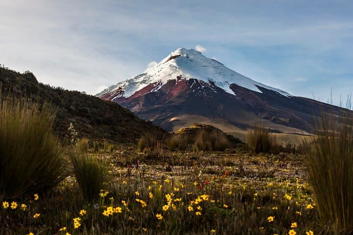 15-Day Ecuador Complete Adventure: Andes, Amazon & Galapagos