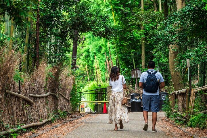 Kyoto Guided Tour of Bamboo Forest, Temple and more