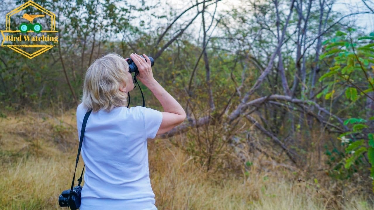 Early Bird Watching Tour