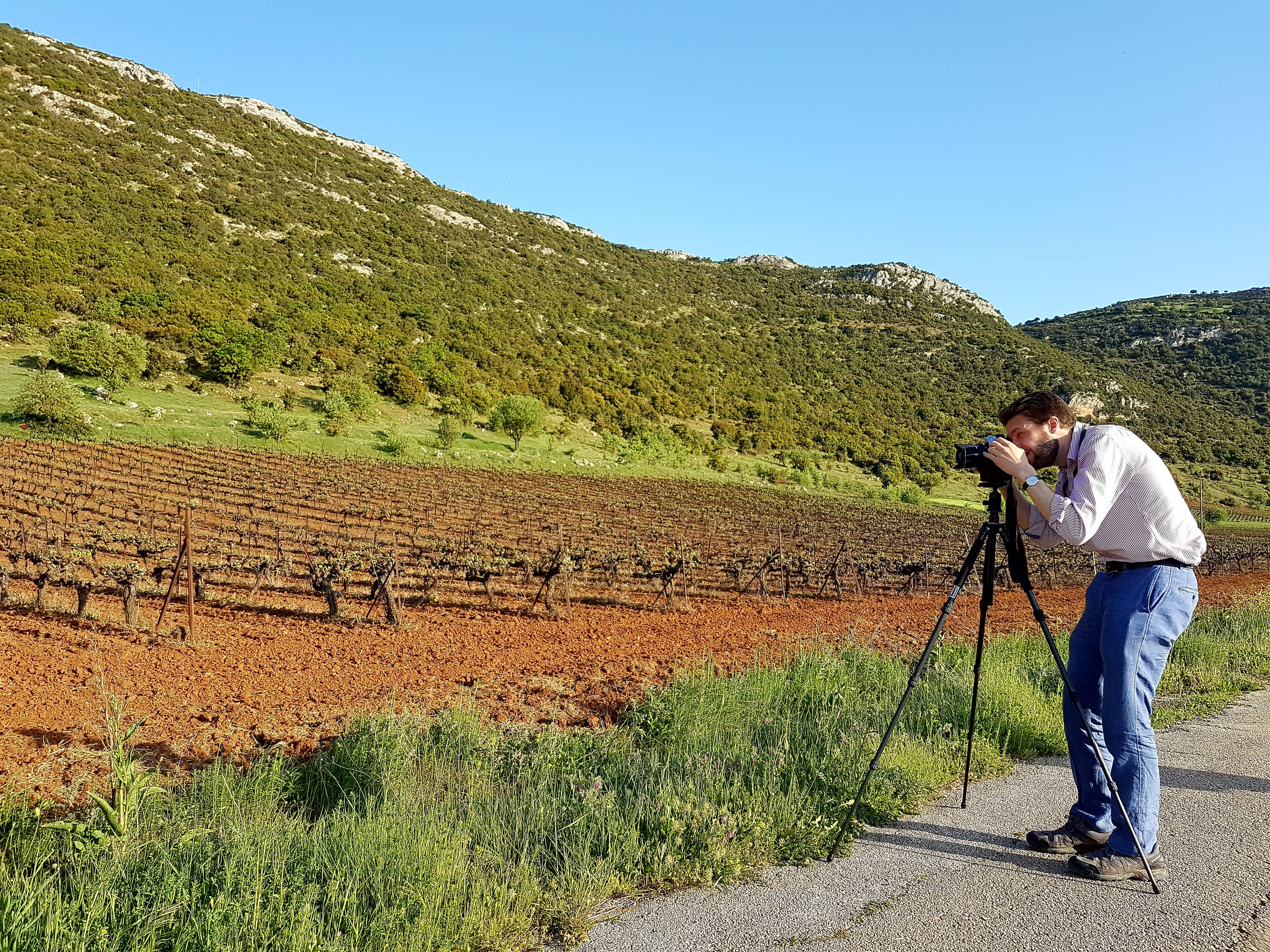 Private Nemean Wine Tour, Ancient Nemea & Mycenae from Athens