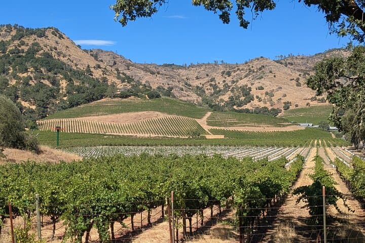 Napa and Sonoma Valley Wine 6 hour Tour from San Francisco