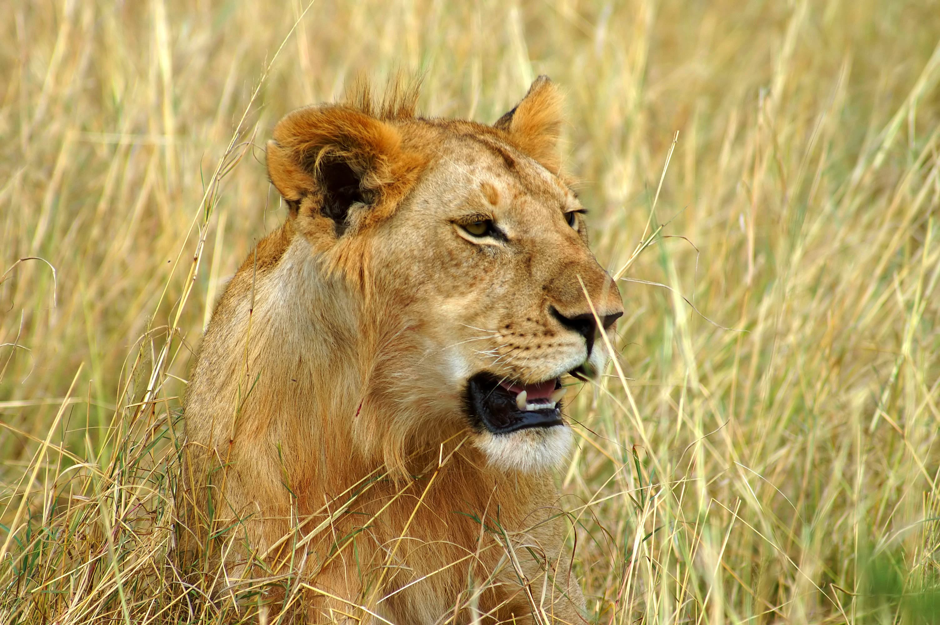 Private Tours Garden Route South Africa In 5*