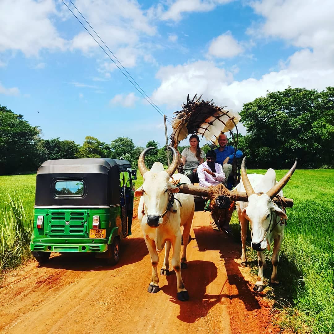 Sri Lanka Amazing Experience - 12 Days