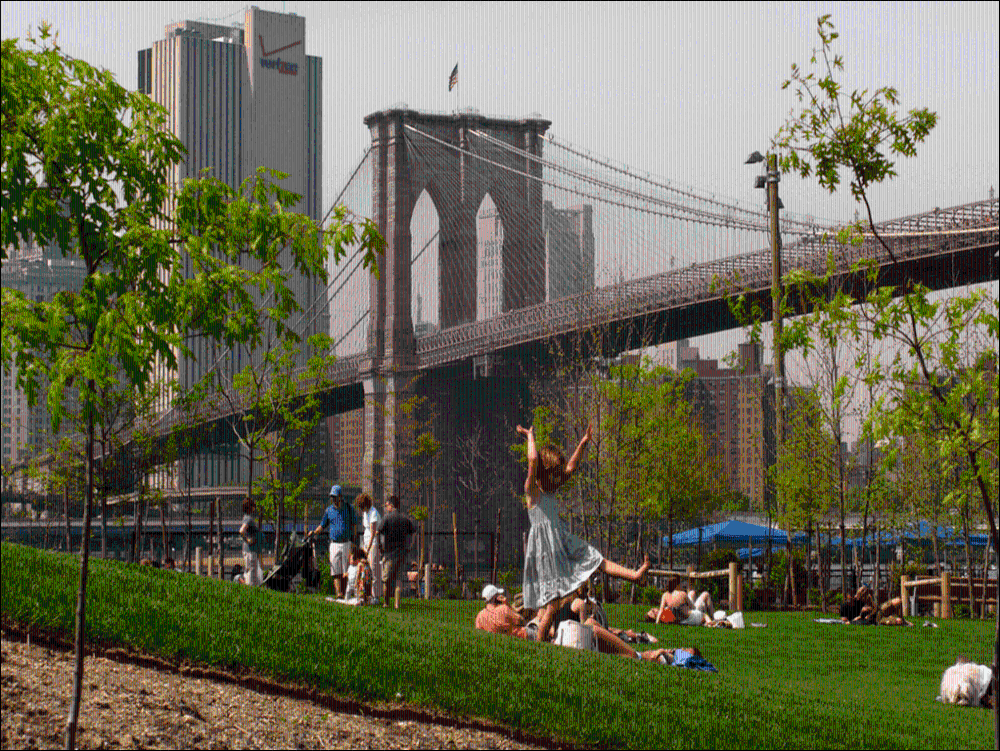 Brooklyn Heights/DUMBO/Manhattan Skyline - Private Walking Tour