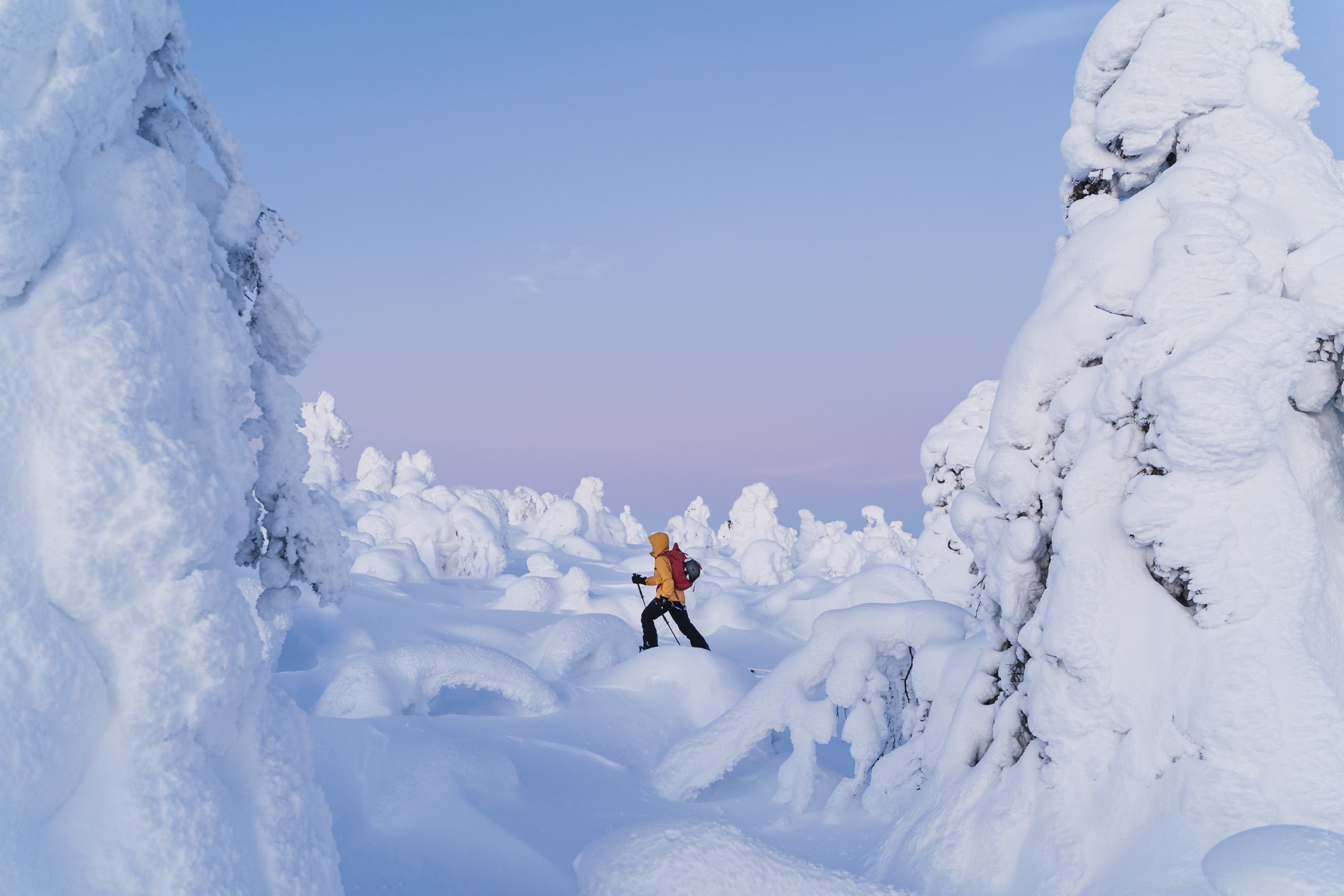 Private - Snowshoeing Adventure In Levi