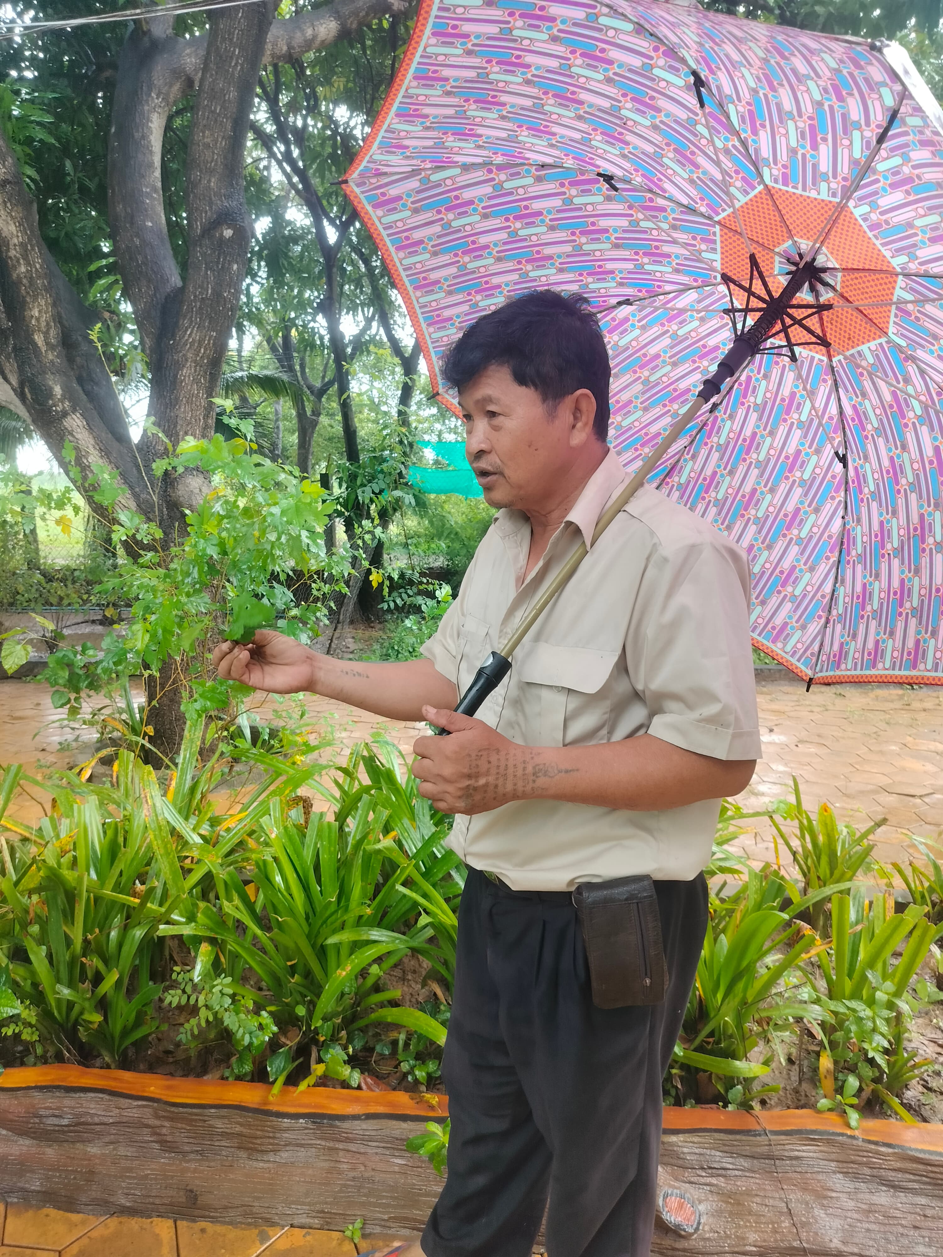 Silk Island Cycling Tour