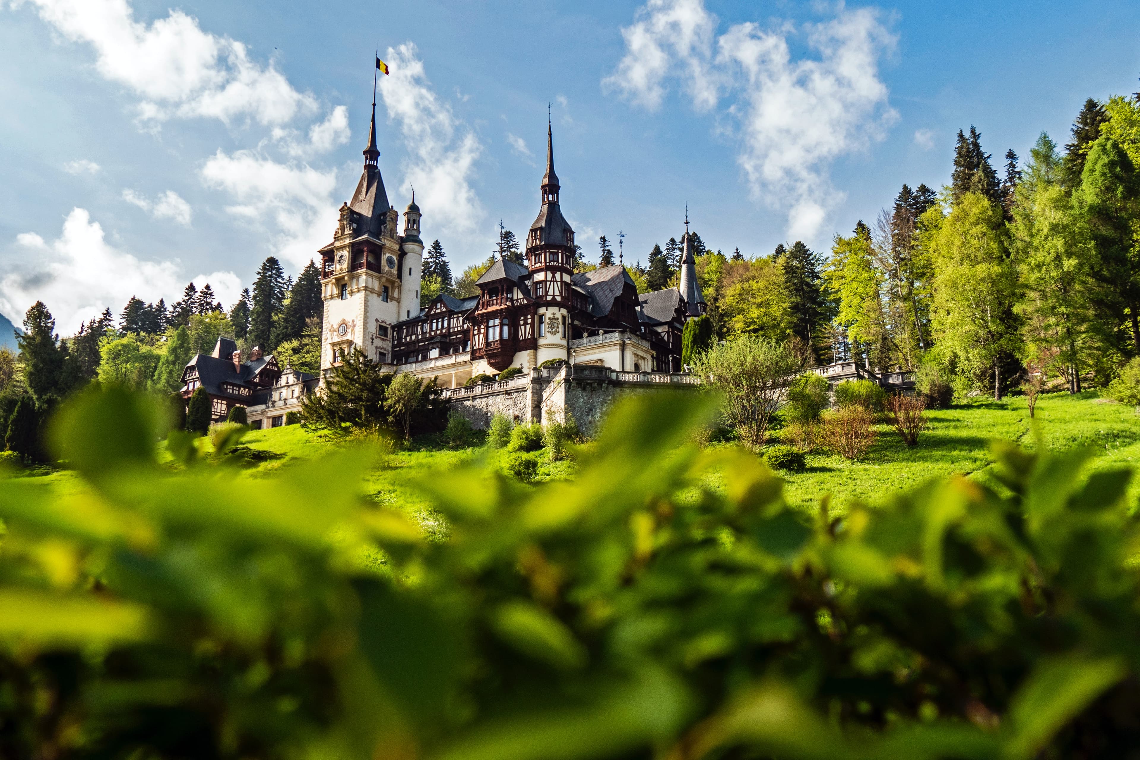 Peles & Cantacuzino Castles: Gourmet Wine & Cultural Day trip