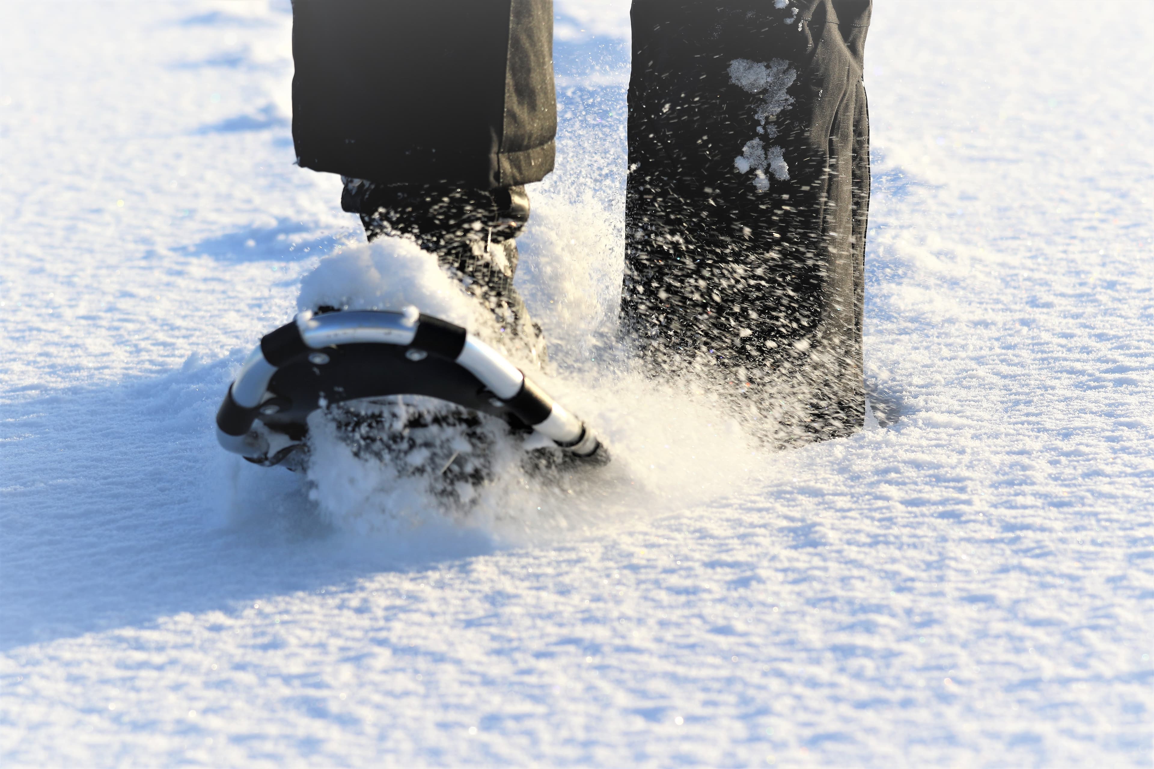 White Dream Adventure (Small-Group)